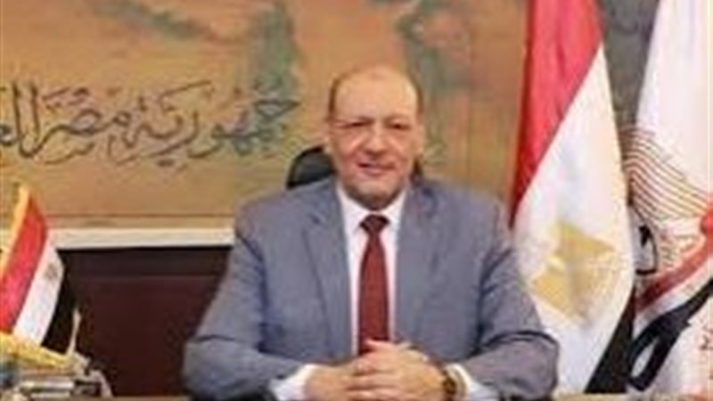 رئيس حزب المصريين