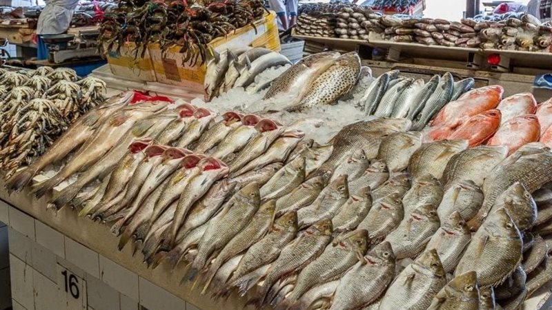 أسعار الأسماك اليوم