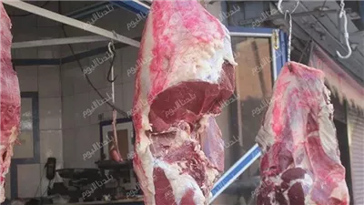 اللحمة في المتناول.. أسعار اللحوم الحمراء اليوم الجمعة 27 يونيو 2025