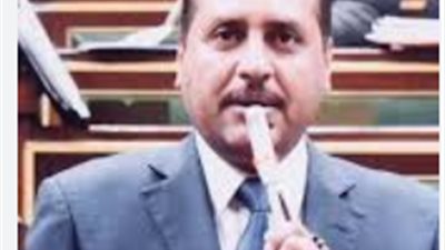 قيادي بالجبهة الوطنية: الرئيس السيسي أنقذ مصر في 30 يونيو من خطر الجماعة الإرهابية