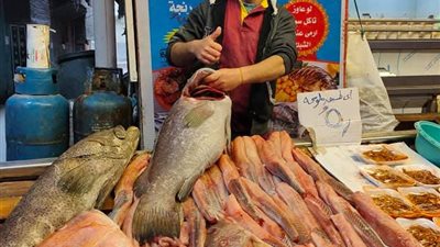 البوري بـ 200 جنيه.. أسعار الأسماك والجمبري اليوم الأحد 29-6-2025