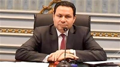 رئيس زراعة النواب يطالب بمد فترة تقنين الأراضي الزراعية بقانون أملاك الدولة