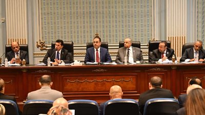 لجنة الشباب والرياضة توافق على تأسيس شركات خدمات رياضية وفقًا لقانون الشركات المساهمة