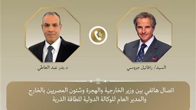 مصر تدعم دور الوكالة الدولية للطاقة الذرية في الملف النووي.. تفاصيل