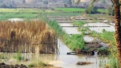 الأرصاد: أمطار متوقعة خلال ساعات قليلة على مدن وقرى كفر الشيخ