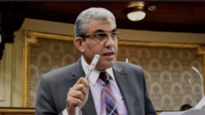 النائب عادل عبدالفضيل