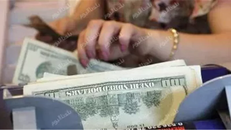 سعر الدولار اليوم