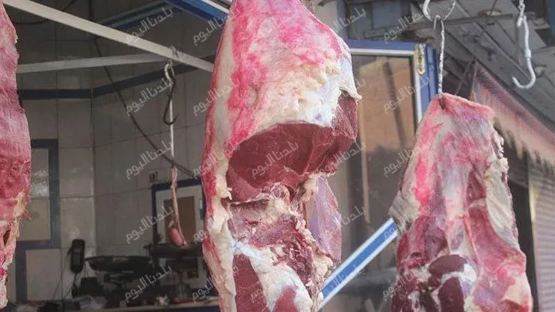 أسعار اللحوم الحمراء