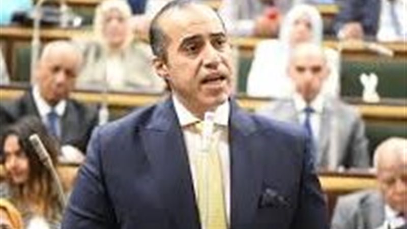 المستشار محمود فوزي