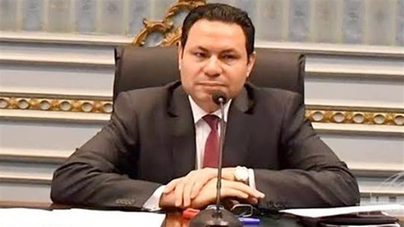 النائب هشام الحصرى،