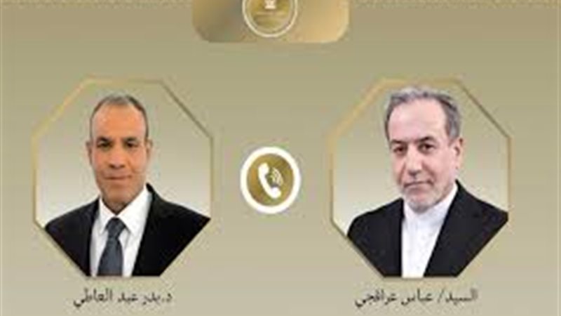 وزير خارجية مصر ونظيرة