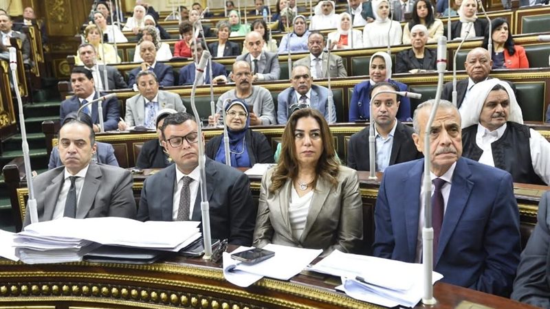 وزيرة التنمية المحلية