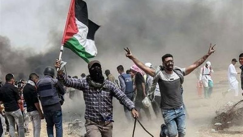 غزة تحت النار