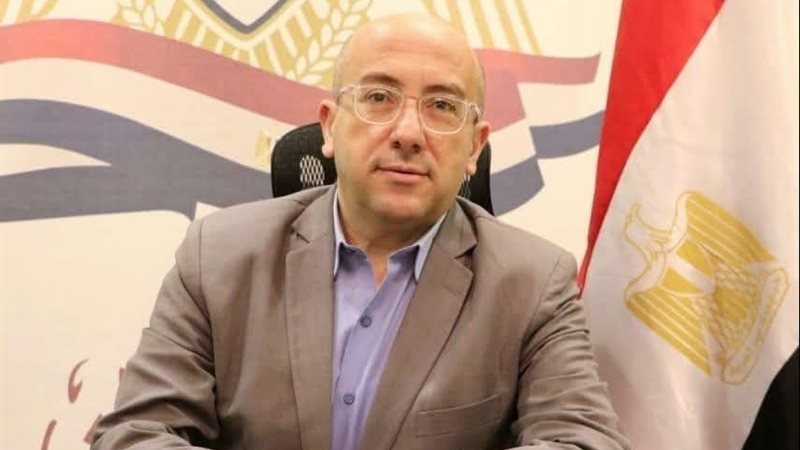 الدكتور محمد الغمري