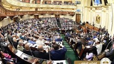 تعرف على تقسيم الدوائر ودور الأعضاء في انتخابات مجلس الشيوخ 2025