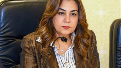 وزيرة التنمية المحلية تبحث مع Esri تعزيز استخدام نظم المعلومات الجغرافية بالمحافظات