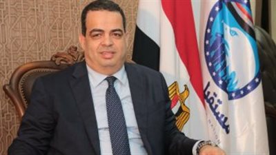 عصام هلال: المصلحة الوطنية فوق أي اعتبار في انتخابات الشيوخ