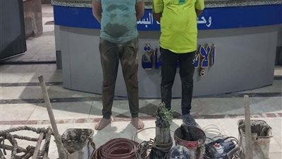 تفاصيل ضبط عاملين أثناء تنقيبهم عن الآثار داخل عقار بالبساتين