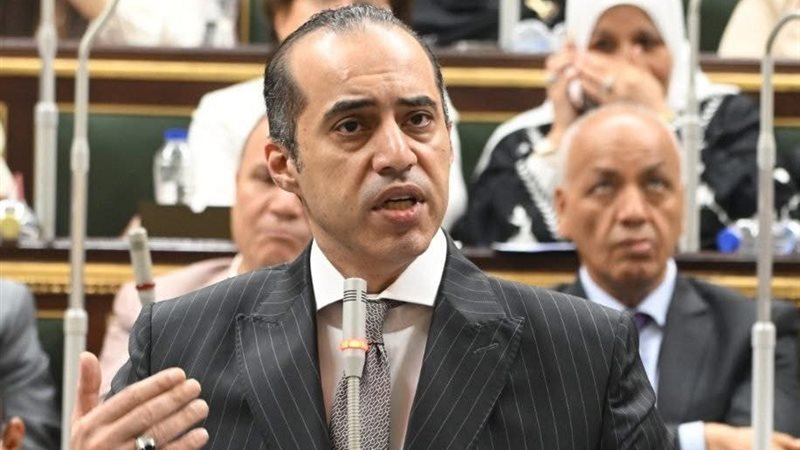 المستشار محمود فوزي