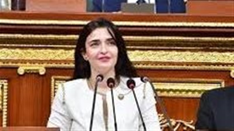 النائبة إيرين سعيد