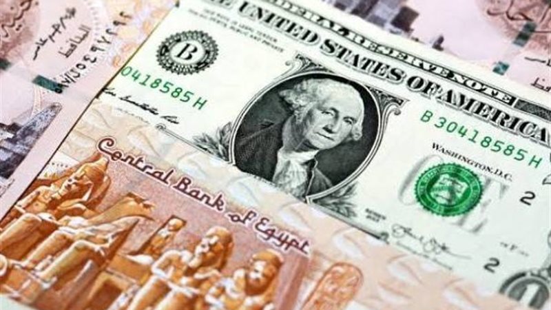 سعر الدولار