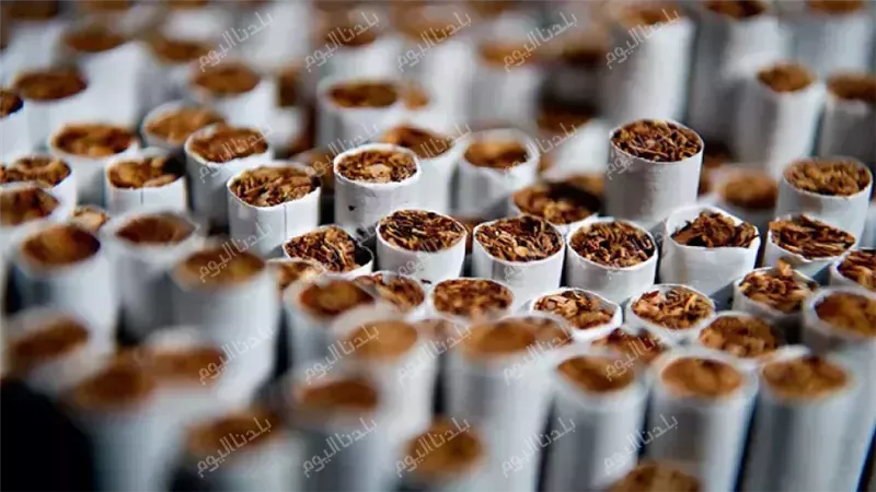 أسعار السجائر في
