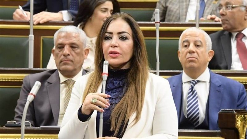 النائبة جيهان بيومي