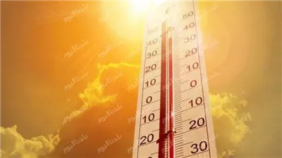 الأرصاد تكشف درجات الحرارة المحسوسة.. وتحذر من الأمطار الرعدية 