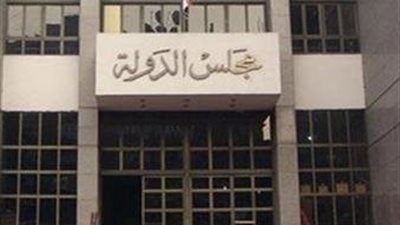 رئيس مجلس الدولة يؤكد على متانة العلاقات مع الجانب العماني