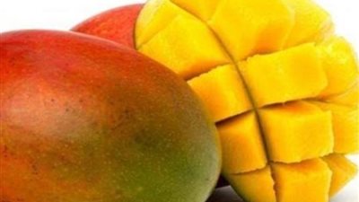 نائب رئيس شعبة الخضروات والفاكهة يكشف أسباب زيادة إنتاجية المانجو بالموسم الجاري (خاص)