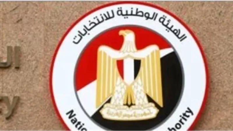 الهيئه الوطنيه للانتخابات