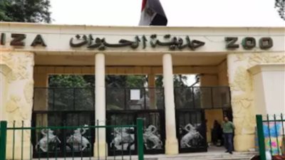 حديقة الحيوان بحلتها الجديدة.. تجربة متكاملة تنتظر الزوار في سبتمبر المقبل