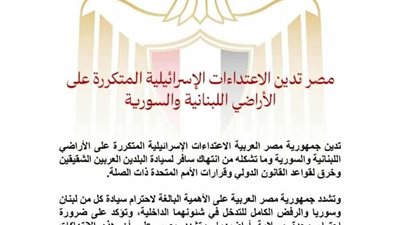 مصر تدين الغارات الإسرائيلية المتكررة على الأراضي اللبنانية والسورية