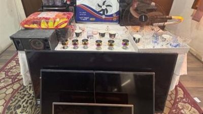  حملة أمنية تسقط 4 لصوص في قبضة الشرطة بالقاهرة (صور)