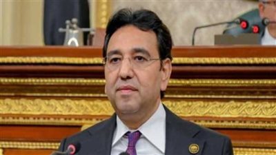 وكيل «عربية النواب» يشيد بدور مصر نحو القضية الفلسطينية