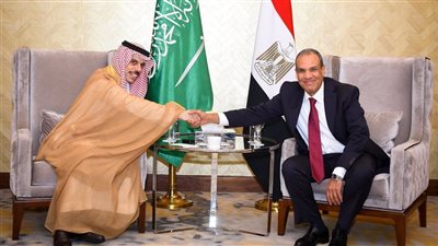 وزير الخارجية يؤكد رفض مصر الكامل لأي محاولات للمساس بالعلاقات المصرية السعودية