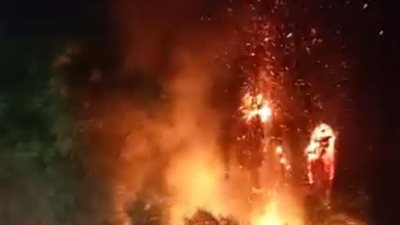 إخماد حريق في أشجار النخيل بطريق الأربعين نجع حمادي- أبوتشت الزراعي