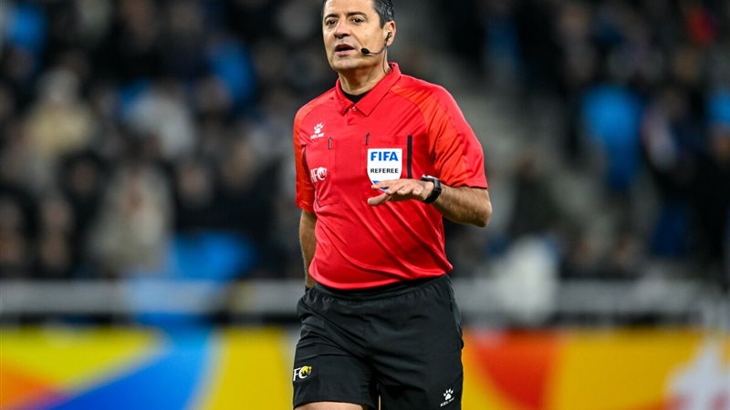 علي رضا فغاني حكم