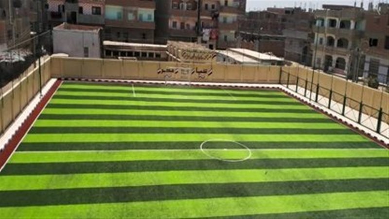 احد المشروعات للمبادرة