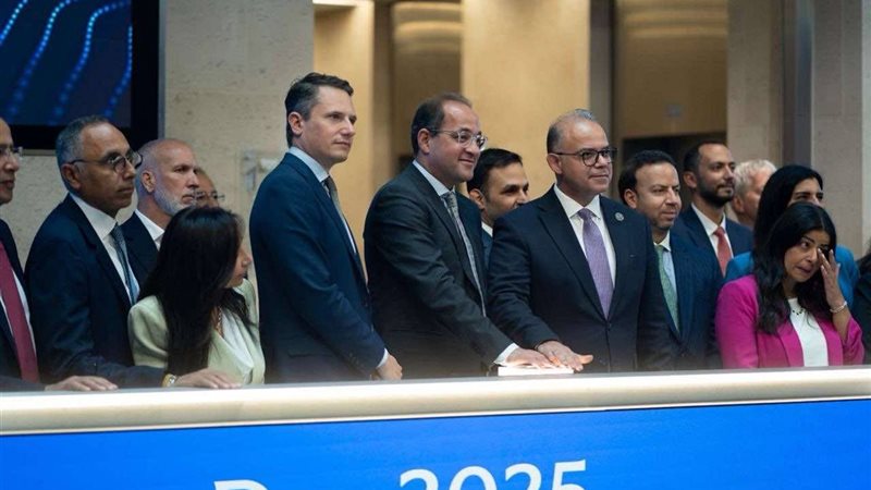 وزير المالية