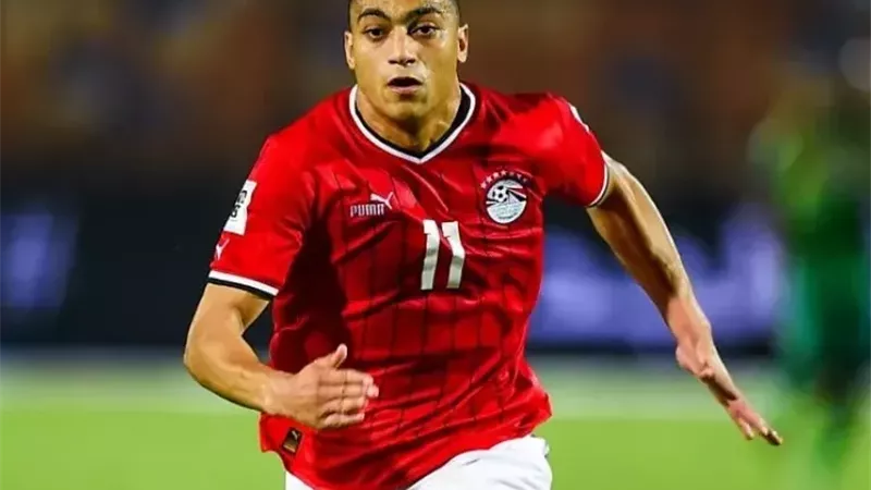 مصطفى محمد