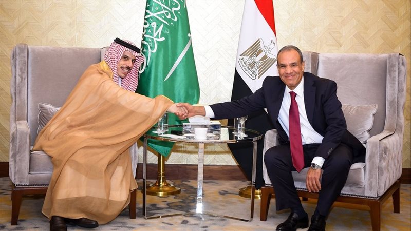 وزير الخارجية المصري