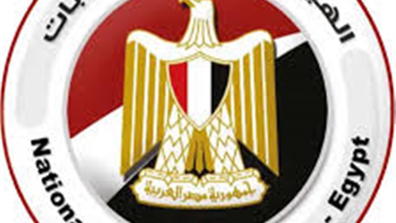 الهيئة الوطنية للانتخابات