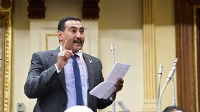 عضو بـ «النواب»: زيارة وزير خارجية السعودية للعلمين تؤكد عمق الشراكة الاستراتيجية مع مصر