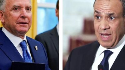 مصر تشدد على ضرورة وقف إطلاق النار ووصول المساعدات إلى قطاع غزة