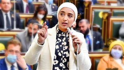 النائبة أميرة أبو شقة: يقظة الأمن تؤكد أن الإرهاب لن ينال من مصر
