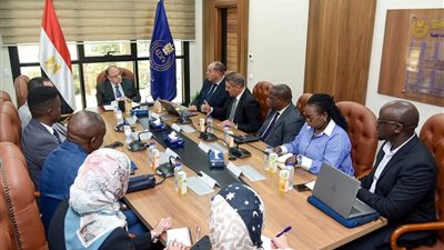 مصر وزامبيا تبحثان إنشاء مصنع دواء مشترك لتعزيز الأمن الدوائي في إفريقيا