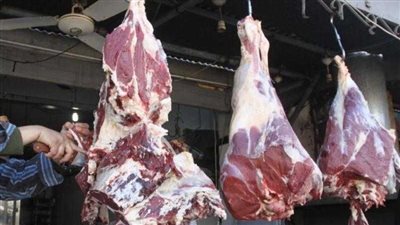 استقرار في أسعار اللحوم .. والكيلو يبدأ من 290 جنيهًا 