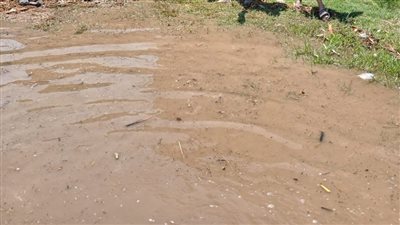 للمرة الثانية.. انهيار جسر «عين غصين» يؤدي إلى غرق الأراضي بالإسماعيلية (صور)