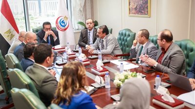 وزير الصحة يعقد اجتماعًا مع ممثل 
